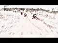 BWS VS BWS(展億豪豬影片)
