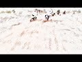 BWS VS BWS(展億豪豬影片)