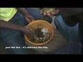 cassava leaf