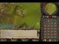 Runescape Pking video - Evilsexc pk vid 2 Part 1 out 2
