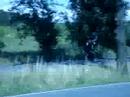 zx10 borek 2