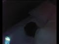 scared funny lady scared funny lady