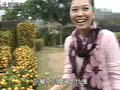 2008/01/31東張西望-羅志祥選貢桔