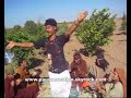 hoba hoba spirit - zarda par Pause creation hoba hoba spirit - zarda par Pause creation