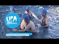 UPA\ UPA\