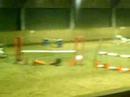 Me and Pick'n'Mix Showjumping at somerby.... tiny jumps!!!
