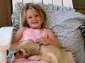 La vida de un perro (2da parte)
