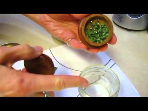 how to transplant bee balm