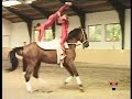 Curso Práctico de Volteo. Kür Individual, en Pareja y por Equipos. Instrucciones detalladas sobre la coreografía, composición y los diferentes grados de dificultad en una kür en las tres categorías. Ejercicios preliminares de transición, seguridad y para salir de apuros. Coordinación en pareja y agarres. Indicaciones para la organización de equipos en competiciones y exhibiciones. Dur.: 60 mins.