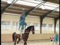 VOLTEO II