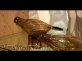 Glass Blowing - Oiva Toikka Interview - Part 2 (Why Birds) - Glass Blowing