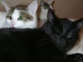 Two Of Us
