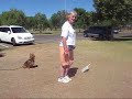 Side step exercises one last time