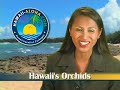 Hawaii Vacation News -Sept. 22, 2008