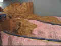 Model Railroad Scenery using Extruded Foam: Part  7