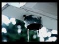 Boards of Canada - Peacock Tail