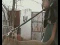 El autentico Presa Canario