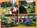 Clip Gramado Clip Gramado
