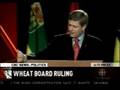 Canadian Election 2008: RULE OF LAW