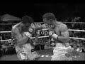 Miguel Cotto Mix 5.5.1