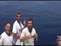 Whale Shark on KOKID Charter