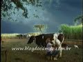 Maldade das mulheres
