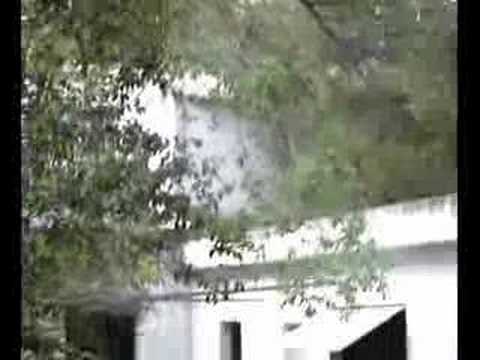 Imagen de previsualización de YouTube