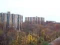 real estate tour of alexandria