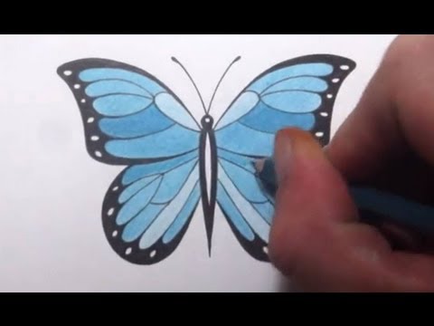 how to draw draw a butterfly
