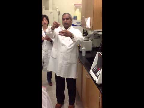 how to isolate rbc from blood