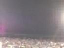 Tigers the ALCS Champions!!!!!! Comerica Park Celebration