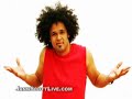 busy-bee-freestyle.html