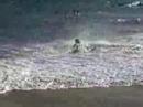 niko skim boitass