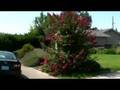 videos de New Home - Street View