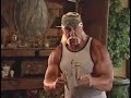 Hulk Hogan flexes his muscles against animal fighting