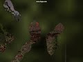 The Battle of Teutoburg Forest The Battle of Teutoburg Forest