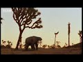Ground Sloth & Vampire Bats - Wild New World - BBC Planet