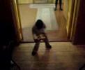 onni dance onni dance
