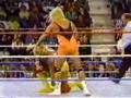 WWF classic