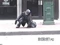 Cbus Anonymous Holiday Raid