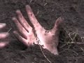 Studentfilm-Das Eigensinnige Kind