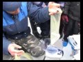 Просмотр видео
