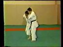 tai-jitsu katas partie2