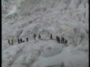New Zealand Heli Flight To Franz Josef Glacier