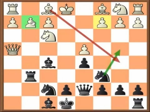 chess chess