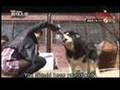 Seo In-young's KAIST- 3nd Highlight