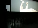 Artobserved.com: Doug Aitken Migration at 303 Gallery