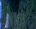 jabal�s en las Rozas