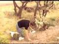videos de Cactus Pete's: Guide To The Wilderness - 