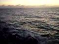 Abbot Point - 30/06/08 - AM